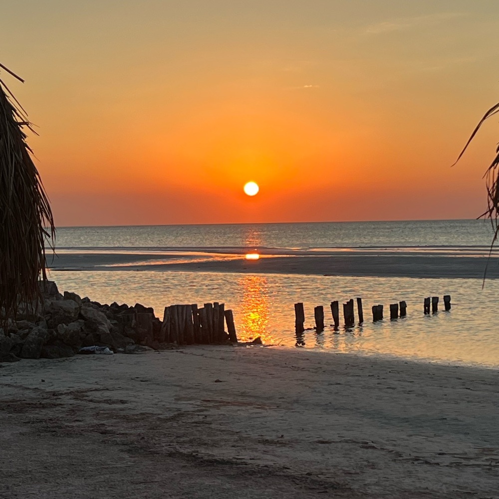 Poshing my impulse purchases for your gain!